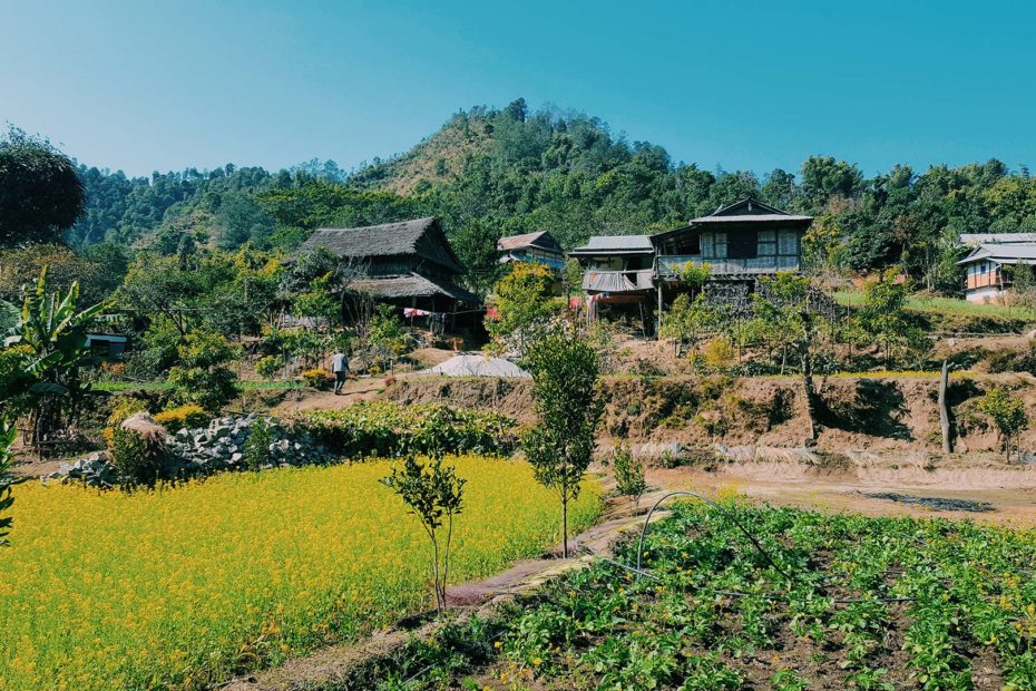 Nepal farm