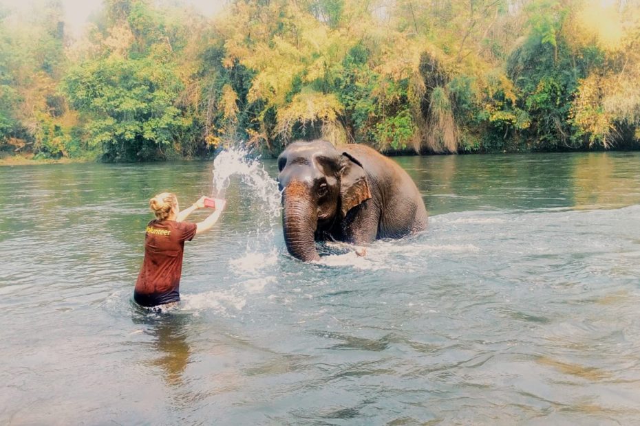 Elephants World - Kanchanaburi