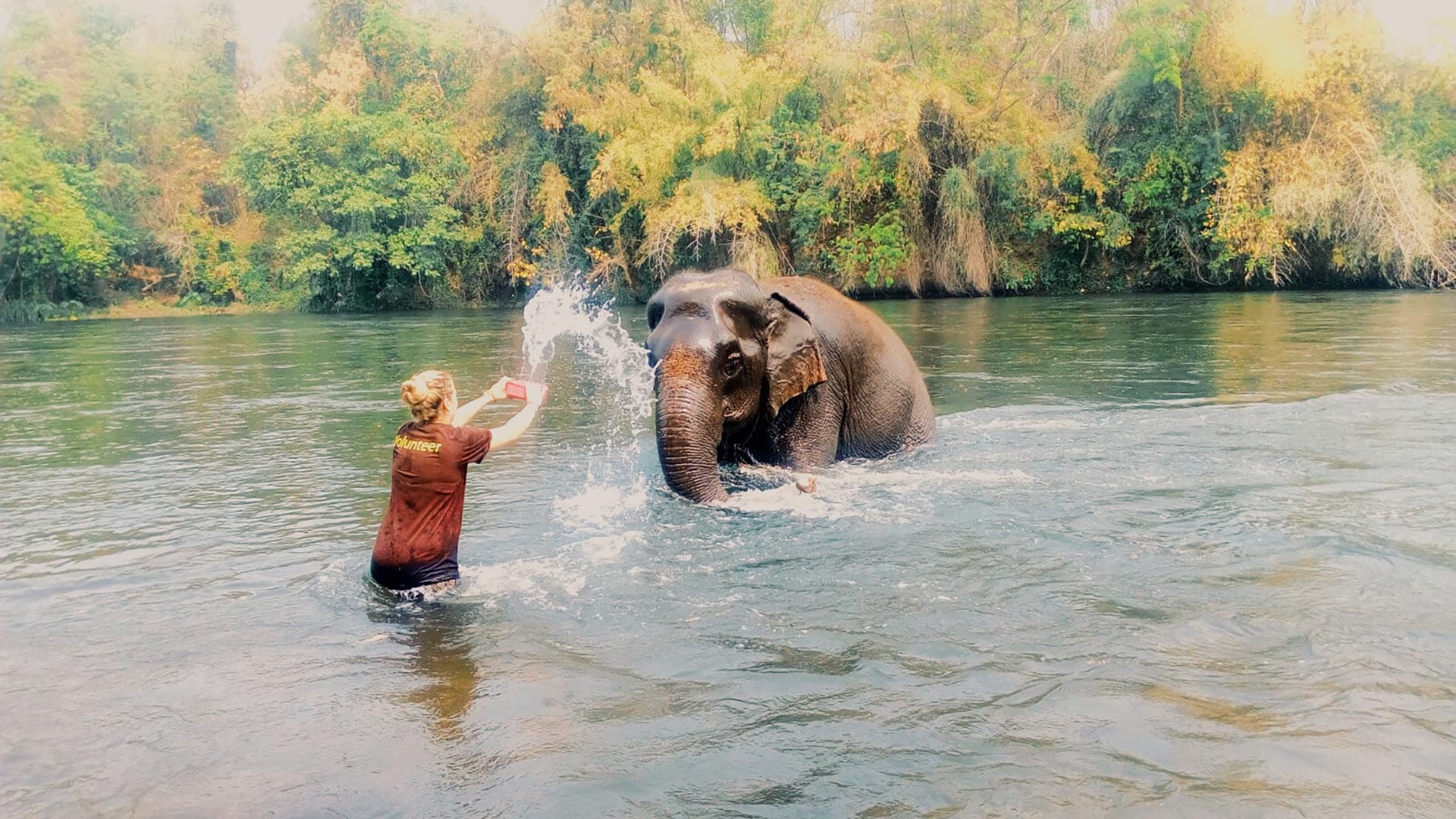 Elephants World - Kanchanaburi