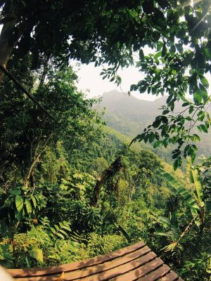 Vang Vieng Challenge - Green Discovery