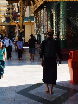 Anthonin - Pagode Shwedagon