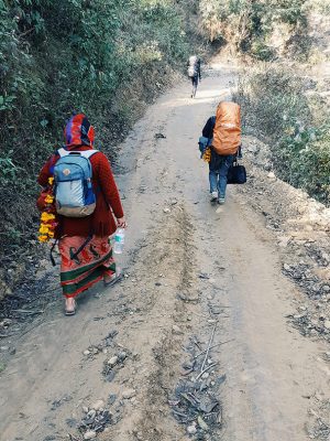 Trek - Nepal