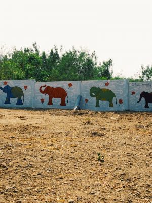 Mural - Elephantsworld