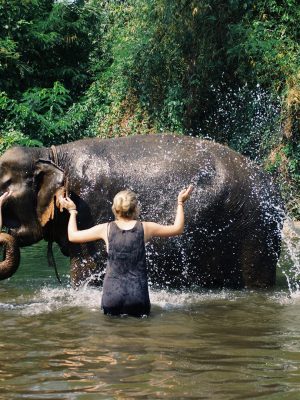 Elephantsworld - Kanchanaburi