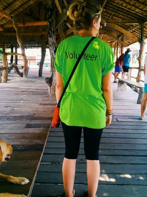 Volunteer - Elephantsworld